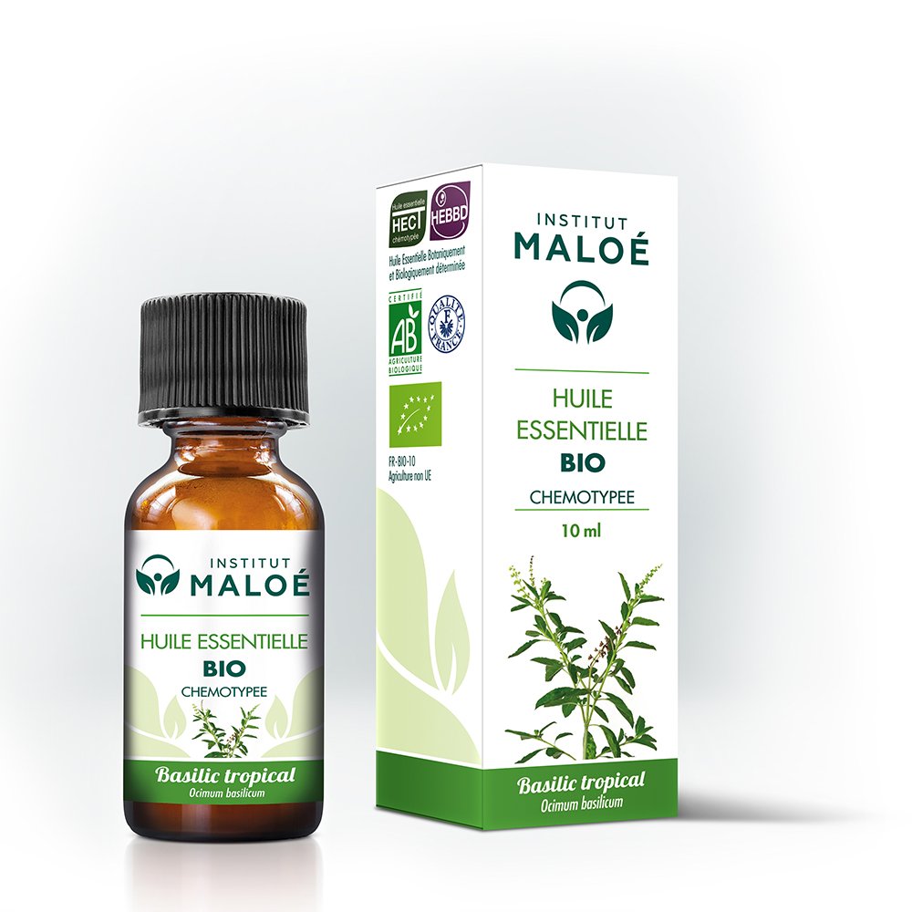Maloe He basilic Tropical 10ml